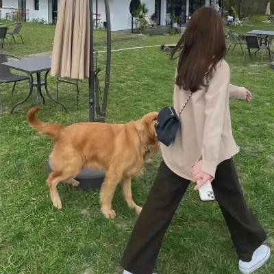 四季如秋